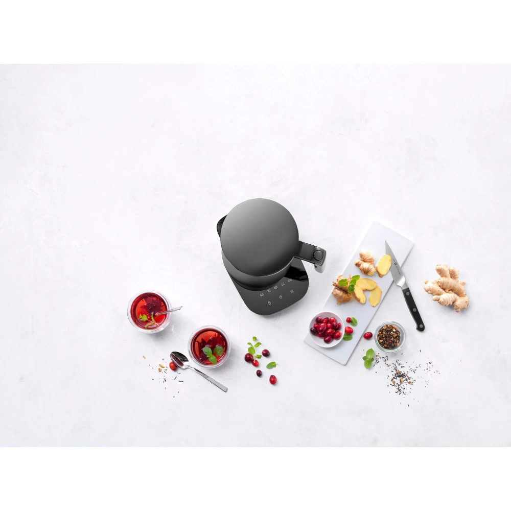 Zwilling Электрический чайник Pro Enfinigy 1,5 л EAN 4009839537172