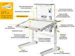 Детский стол Mealux Ergowood - M Multicolor+ полка BD P-17 TG (арт.BD-800 TG/MC Energy + BD P-17 TG)