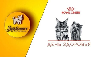 Фото-отчёт мероприятия «День здоровья». Кирова. 20, 12.08.2025
