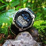 Мужские наручные часы Casio AE-2000W-1A
