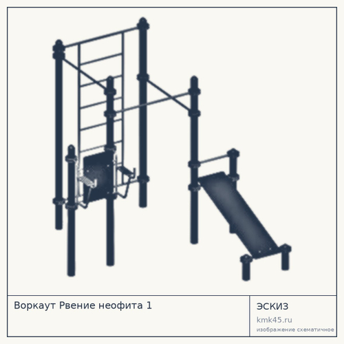 Воркаут Рвение неофита  1
