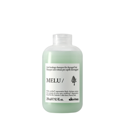 DAVINES Шампунь для предотвращения ломкости Melu