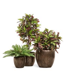 Кашпо Treez Collection