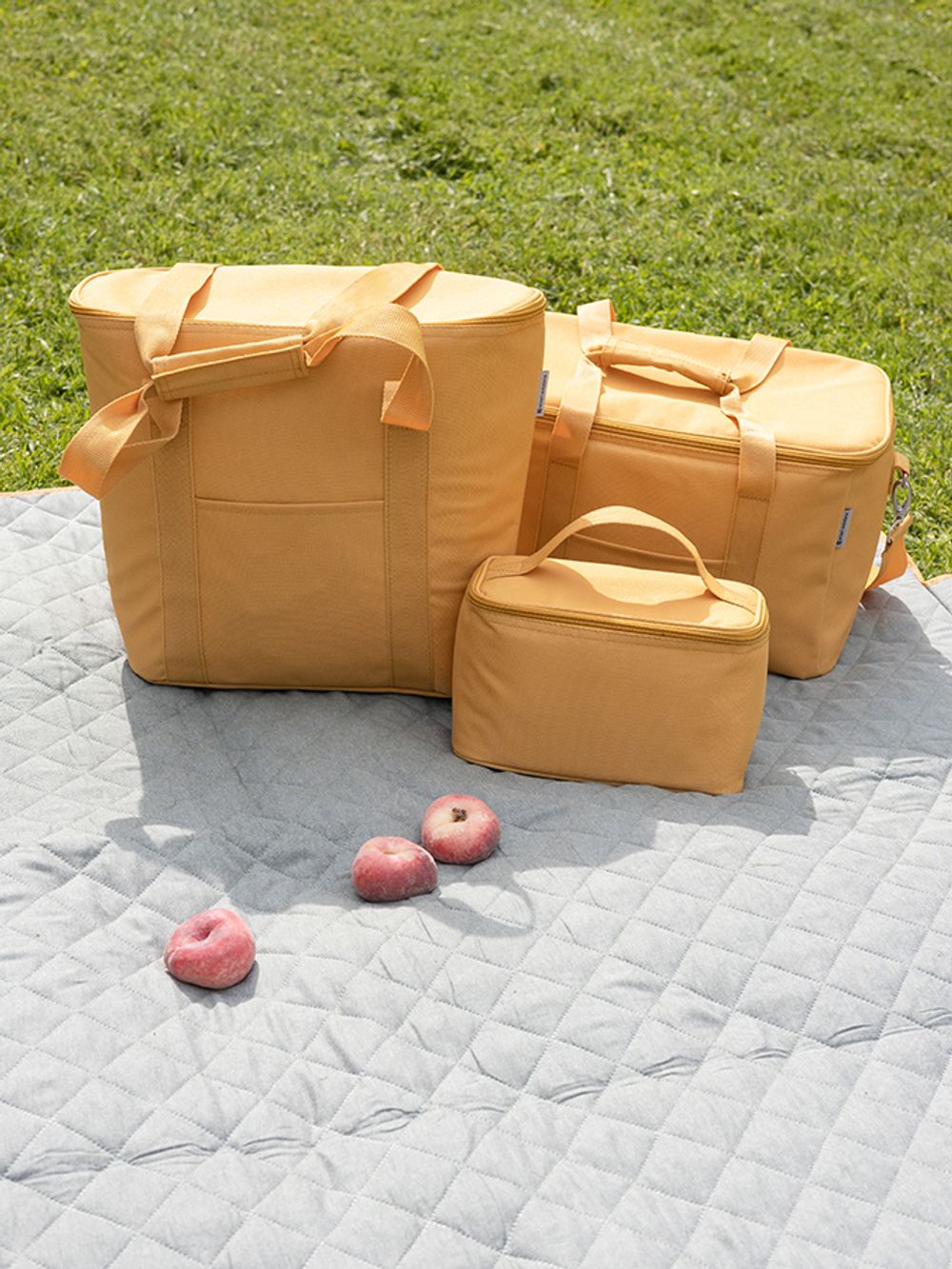 Термосумка для пикника Smart Picnic, M, горчичная