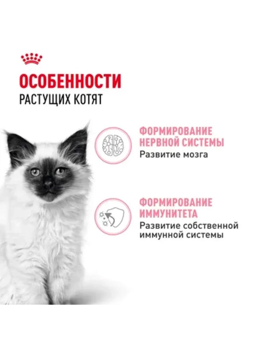 KITTEN Корм для котят в желе 28шт*85г
