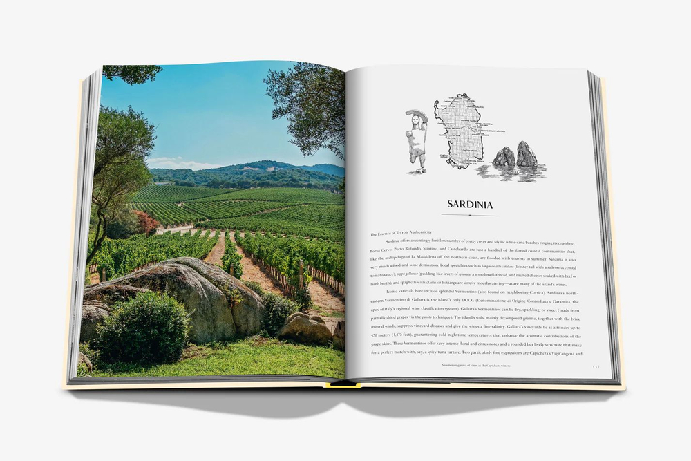 Книга на английском языке Assouline WINE & TRAVEL MEDITERRANEAN ISLANDS