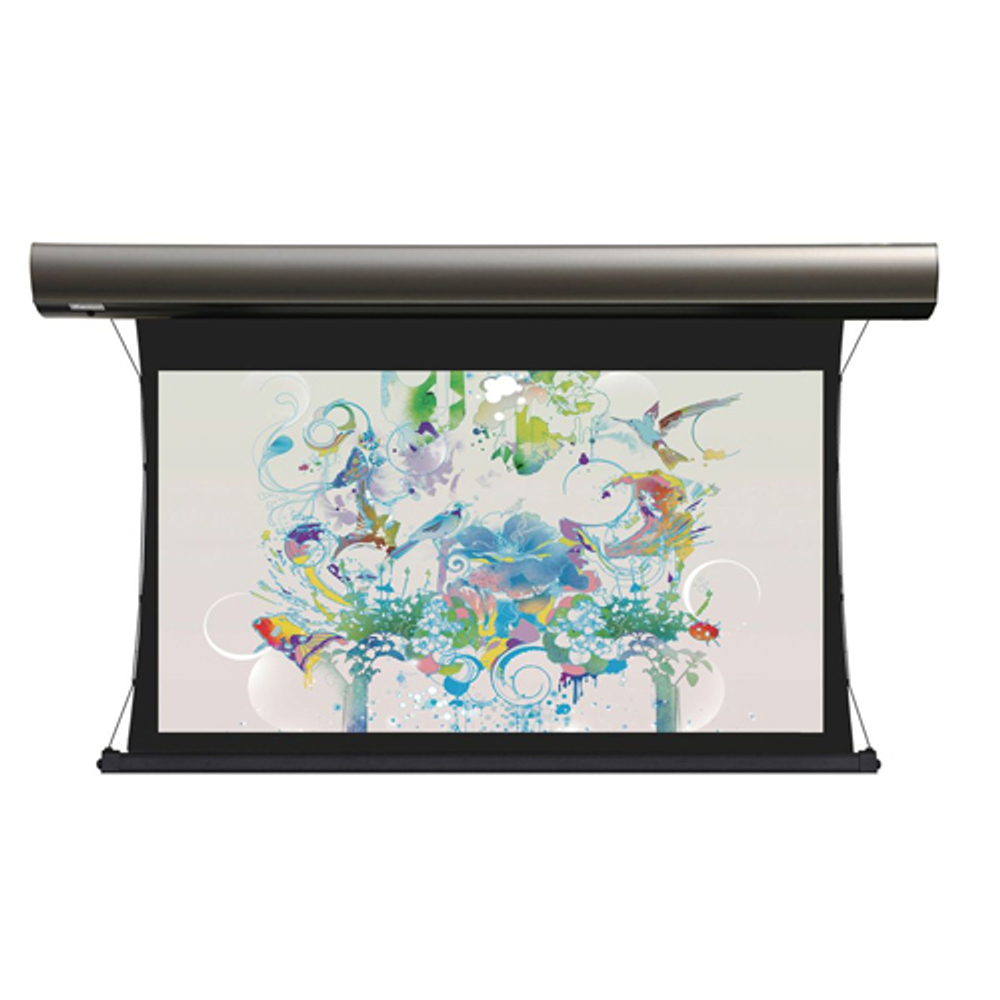 Моторизированный экран Lumien Cinema Tensioned Control 207x354 см Matte White [LCTC-100113]