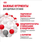 Royal Canin Maxi Joint Care Макси Джойнт кэа Корм сухой для взрослых собак крупных размеров с повышенной чувствительностью суставов 10кг