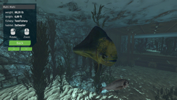 Ultimate Fishing Simulator - Aquariums (для ПК, цифровой код доступа)