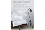 Одеяло GoodNight Comfort искусcтвенный лебяжий пух/микрофибра 300 гр/м2 евро (200х220)