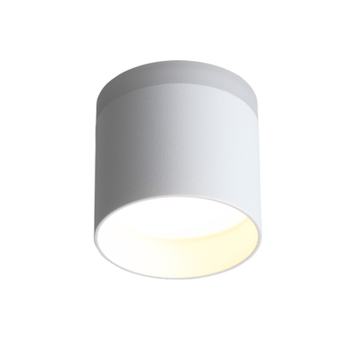 ST102.502.12 Светильник потолочный Белый LED 1*12W 3000K 936Lm Ra>80 120° IP20 D100xH90 170-240V