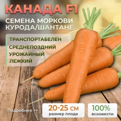 КАНАДА F1 семена моркови (Bejo | Alexagro)