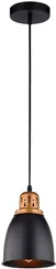 Подвесной светильник Eurica A4248SP-1BK Arte Lamp