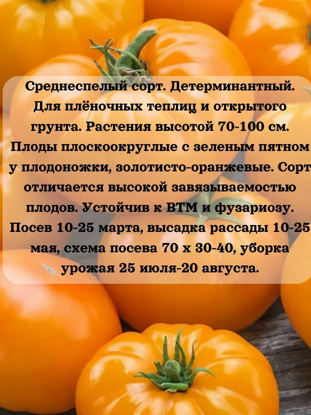 Семена Томат Хурма 0.2 гр