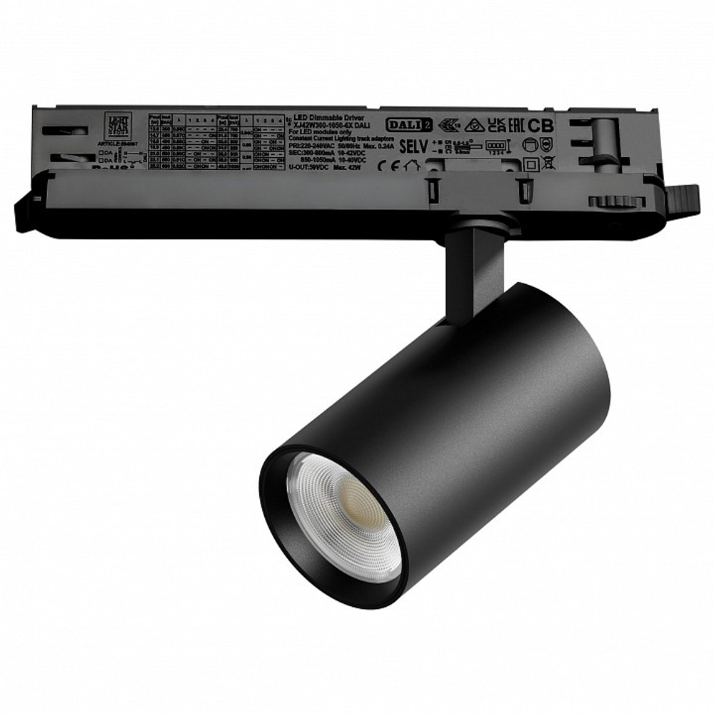 Светильник на штанге Lightstar Alta Base A5137DALI