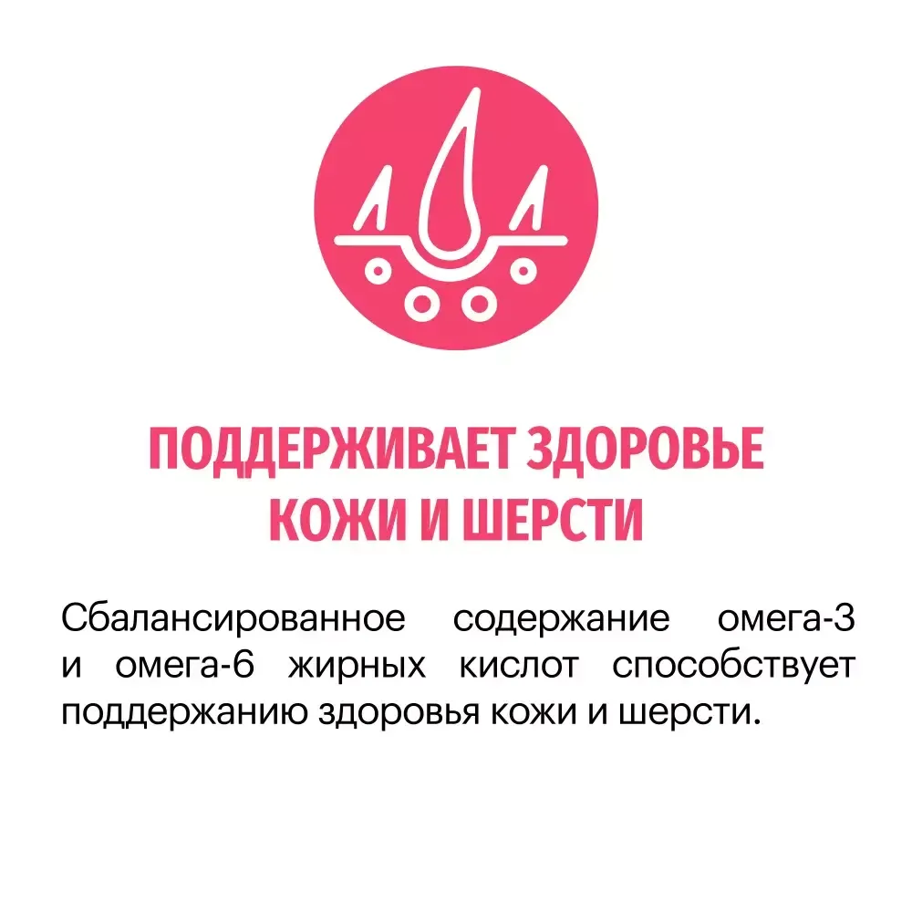 Сухой корм Karmy Sensitive Mini для взрослых собак мелких пород с чувствительным пищеварением, с лососем