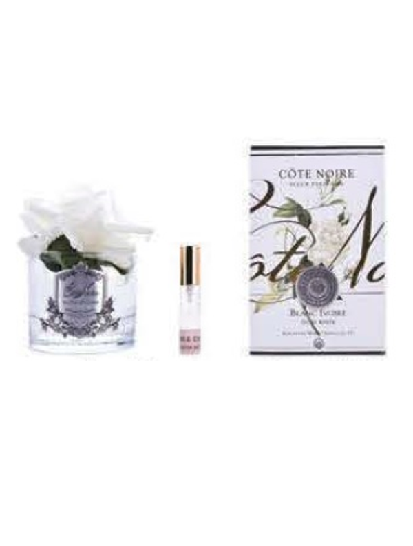 Диффузор French Rose Cote Noire Слоновая кость / Прозрачный