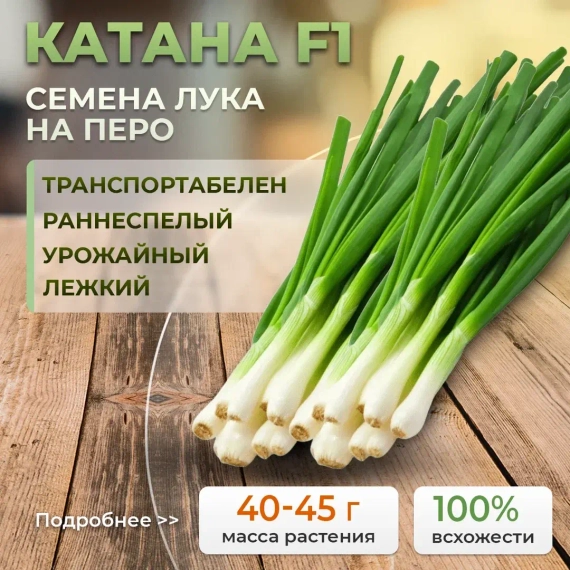 КАТАНА F1 семена лука на перо (Sakata | Alexagro) – фото 1
