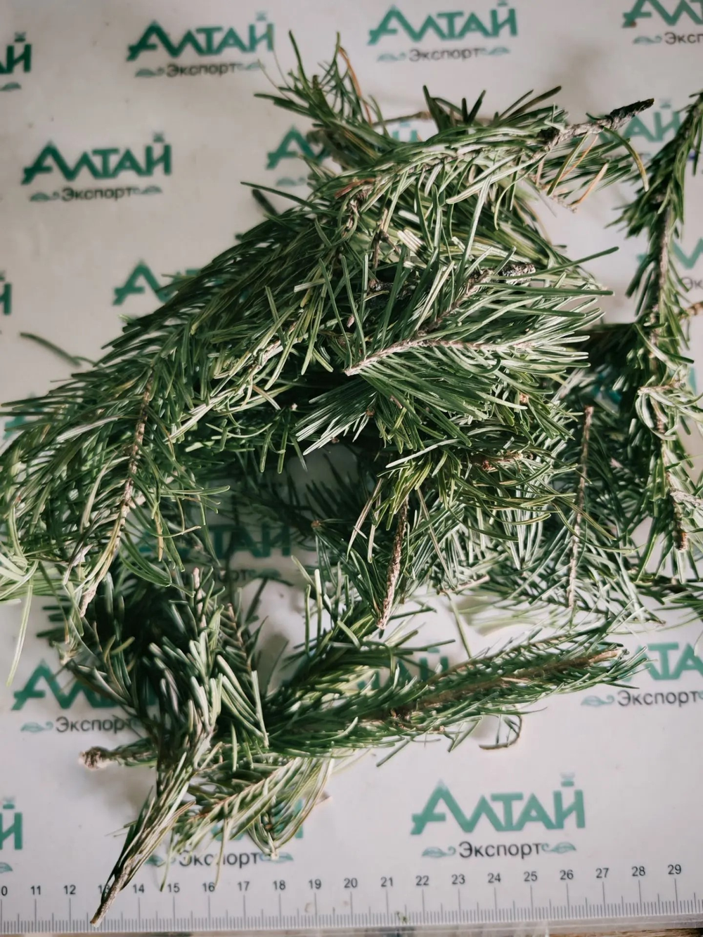 Пихтовая хвоя с лапкой цельная Алтай