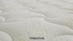 Тигренок
