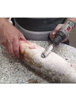 Рыбочистка-насадка на шуруповерт