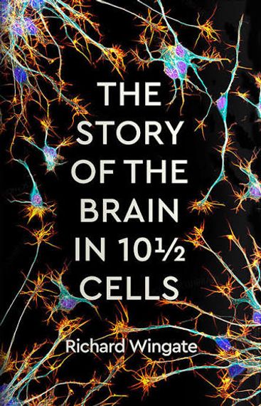 The Story of the Brain in 10½ Cells