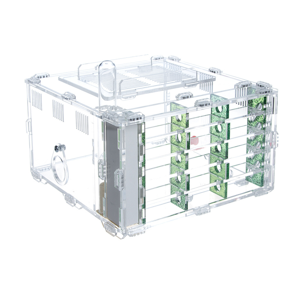 Crystal L 3.0