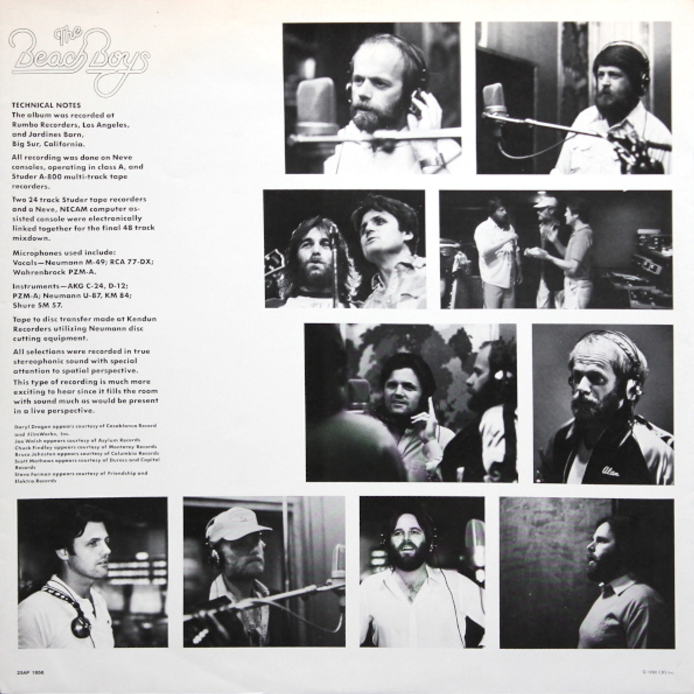 The Beach Boys / Keepin' The Summer Alive (LP)