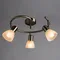 Спот Parry A5062PL-3AB Arte Lamp
