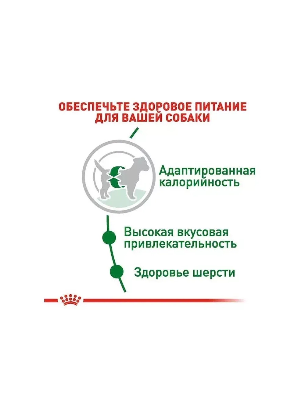 ROYAL CANIN Mini Adult PRO (Роял Канин Мини эдалт) корм сухой для собак 15 кг.