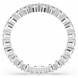 RE MATRIX:RING CRY/RHS 52