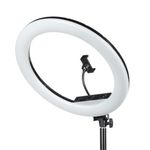 Falcon Eyes BeautyLight 480RC LED