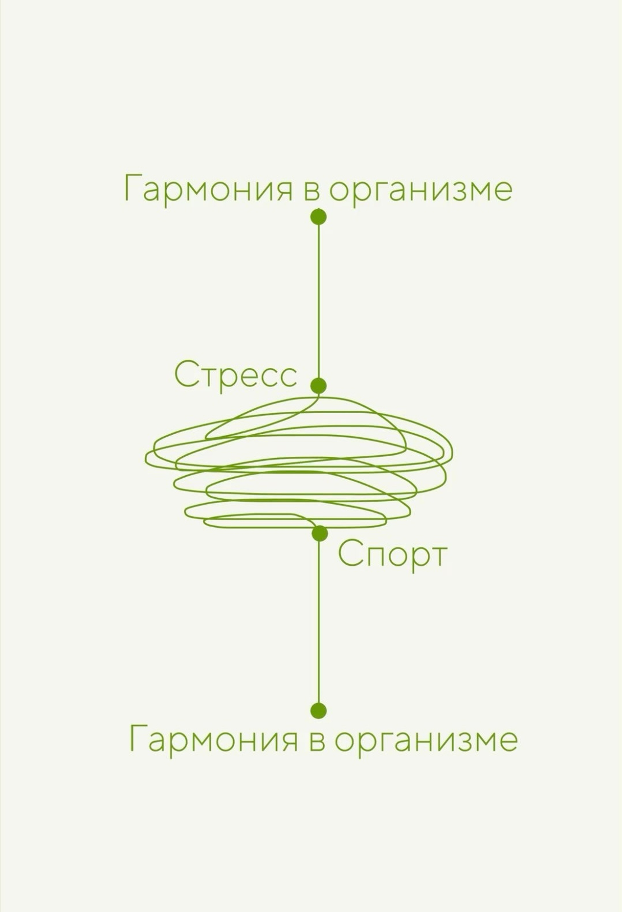 Основы здорового образа жизни: питание, физическая активность, сон и управление стрессом
