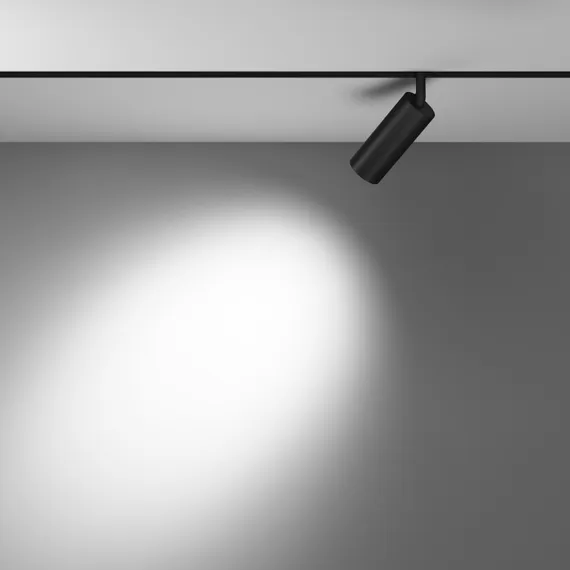 Трековый светильник Focus Led TR032-4-12WTW-M-DD2-B Maytoni