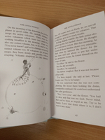 The Little Prince (Macmillan Collector's Library)
