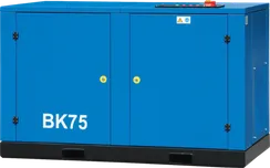 Винтовой компрессор Remeza ВК75-2 ВС