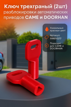 Ключ разблокировки для ворот CAME DoorHan GROW трёхгранный 2 шт. 119RIY077S 119RIY077