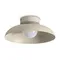 Потолочный светильник Movement FR5602CL-L10W Freya