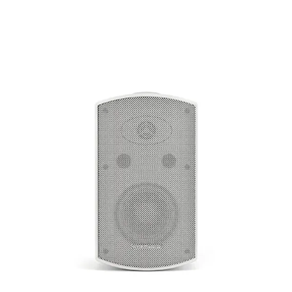 CVGAUDIO RF416TW настенная акустическая система