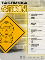 Табличка декоративная "Стэн Марш" из сериала Южный парк, South Park на дверь и стену, прикольная штука в подарок фанату, декоративный знак, 24,5х24,5 см, серия CITRIN / ЦИТРИН, Айдентика Технолоджи