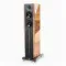 Gold Note A6 Evo II Glossy Walnut