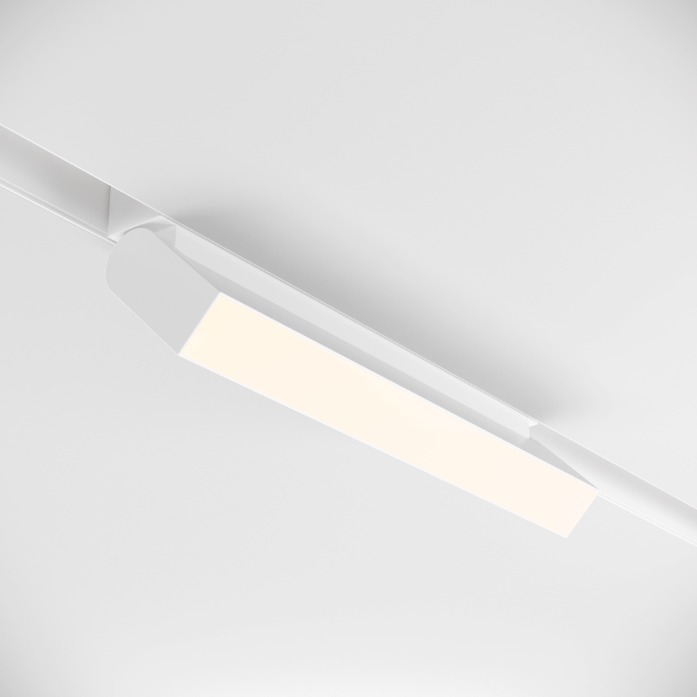 Магнитный трековый светильник Maytoni BASIS TR013-2-20W4K-W