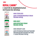Royal Canin Mini Adult 8+ Мини Эдалт Корм сухой для взрослых собак мелких пород старше 8 лет 4кг