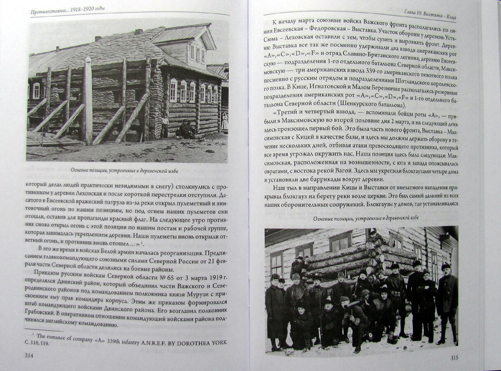 Противостояние. Шенкурский уезд Архангельской области 1918-1920 годы