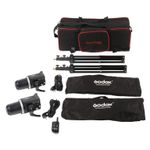 Godox MS300-F