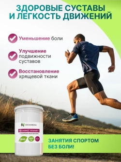 Коллаген с витамином С и гиалуроновой кислотой (350 гр)
