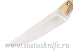 Сет Microtech Kitchen Steak Set 4 COYOTE TANфотография - 4
