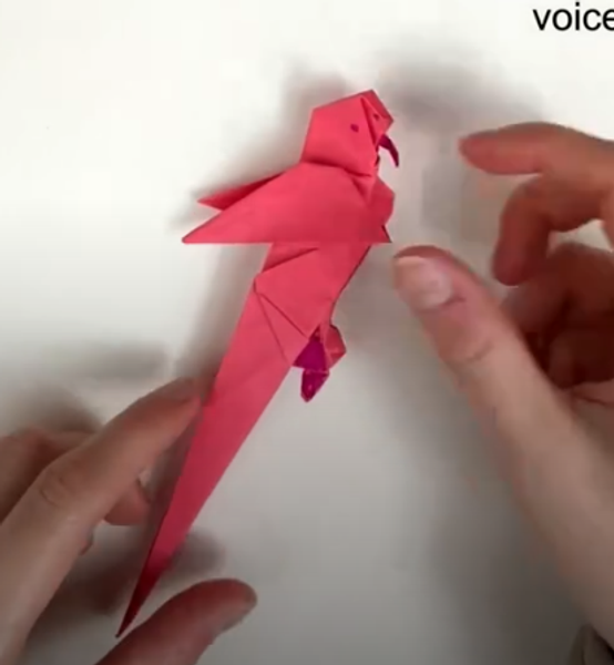 Складываем попугая оригами