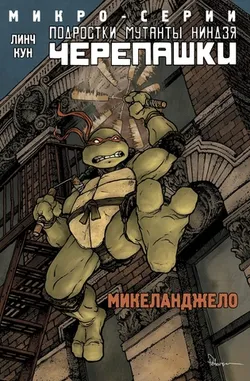 Подростки Мутанты Ниндзя Черепашки. Микеланджело (Б/У)