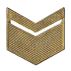 Лычка старшина (золотая, металл)